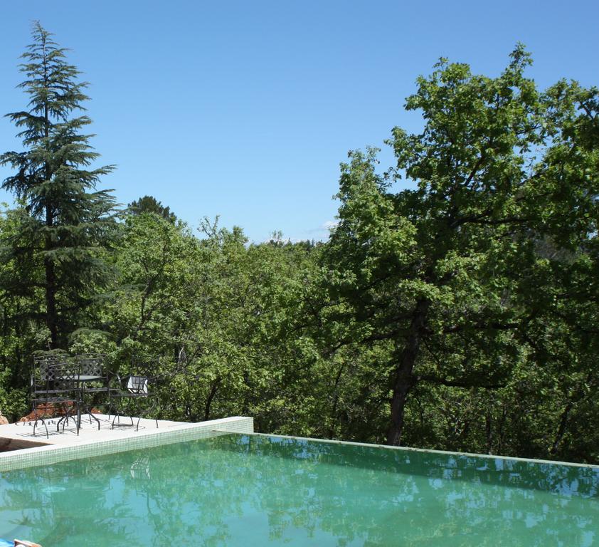 Sous Les Oliviers - Piscine Chauffee - Studios De Standing Tout-Equipes Saint-Maximin-la-Sainte-Baume 객실 사진