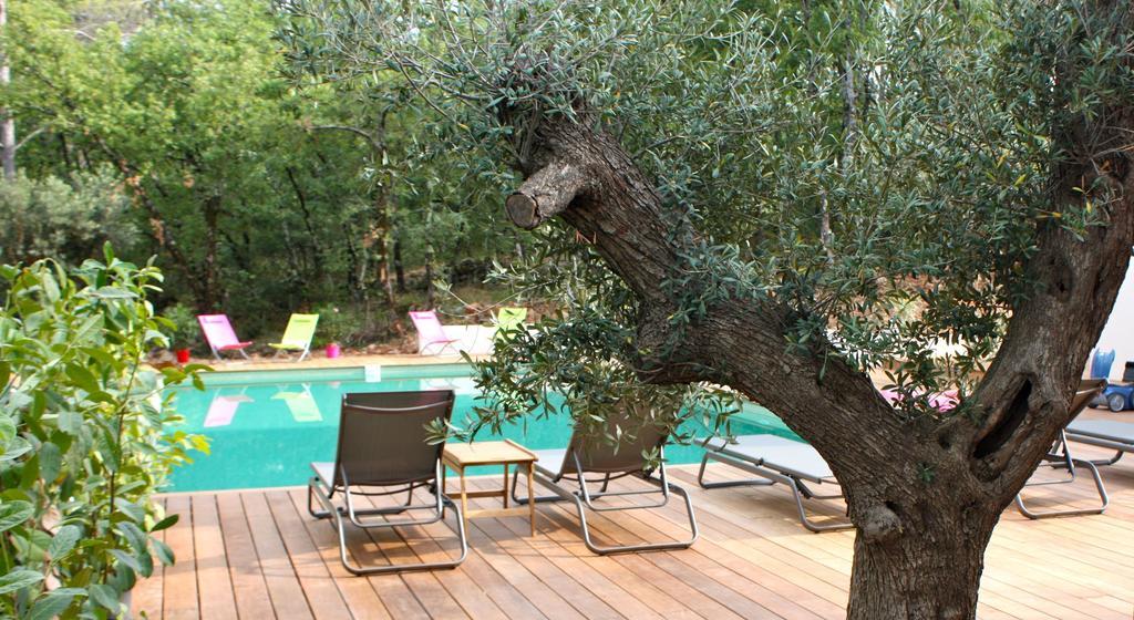 Sous Les Oliviers - Piscine Chauffee - Studios De Standing Tout-Equipes Saint-Maximin-la-Sainte-Baume 객실 사진