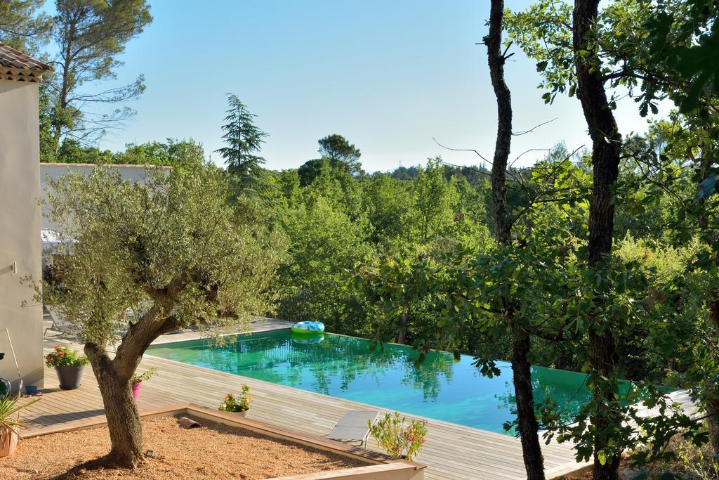 Sous Les Oliviers - Piscine Chauffee - Studios De Standing Tout-Equipes Saint-Maximin-la-Sainte-Baume 외부 사진