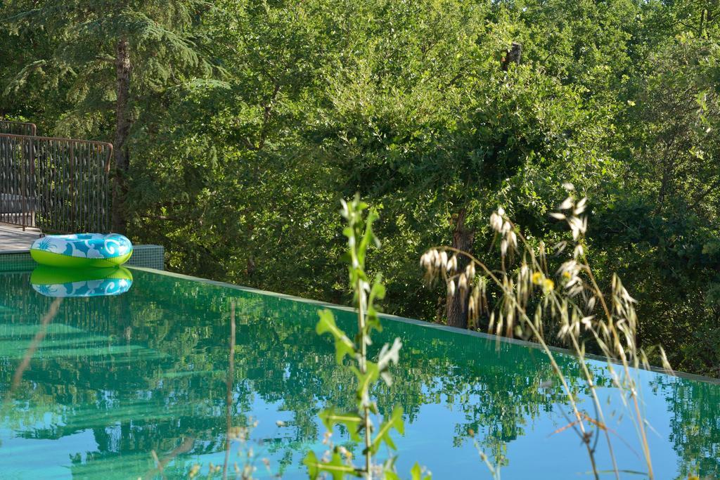 Sous Les Oliviers - Piscine Chauffee - Studios De Standing Tout-Equipes Saint-Maximin-la-Sainte-Baume 외부 사진