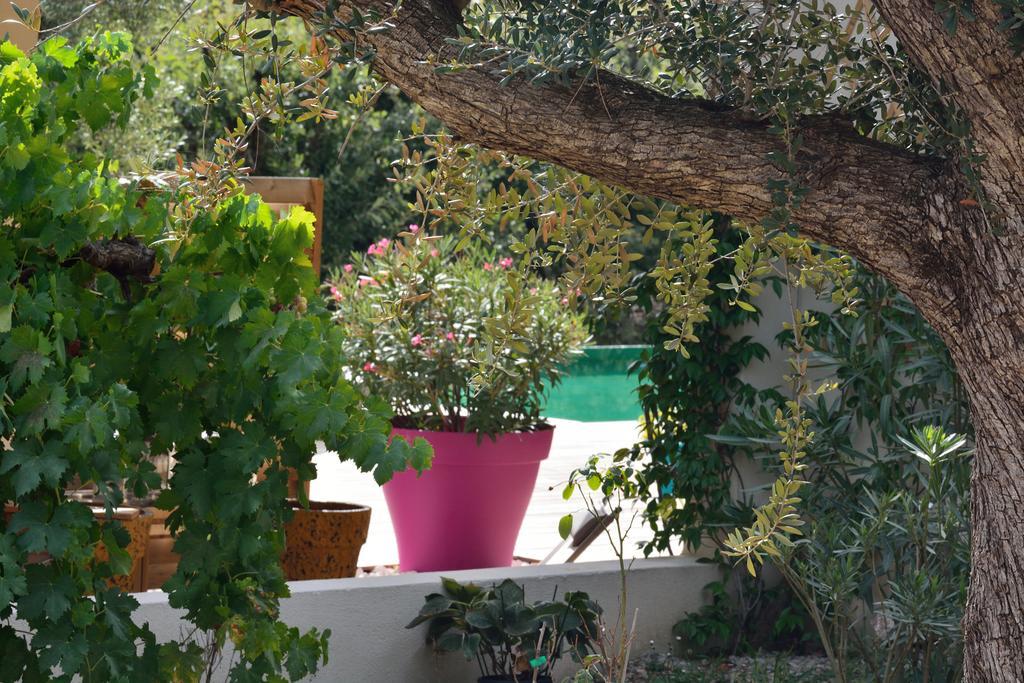 Sous Les Oliviers - Piscine Chauffee - Studios De Standing Tout-Equipes Saint-Maximin-la-Sainte-Baume 외부 사진