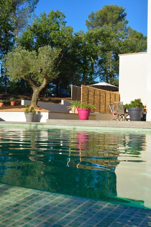Sous Les Oliviers - Piscine Chauffee - Studios De Standing Tout-Equipes Saint-Maximin-la-Sainte-Baume 외부 사진