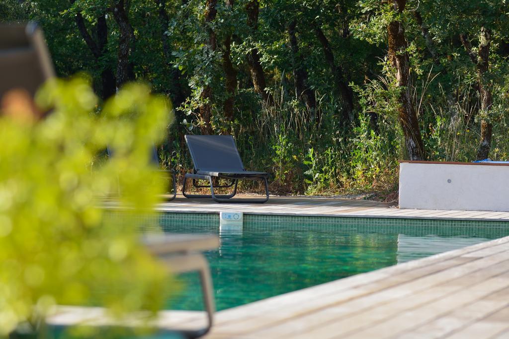Sous Les Oliviers - Piscine Chauffee - Studios De Standing Tout-Equipes Saint-Maximin-la-Sainte-Baume 외부 사진