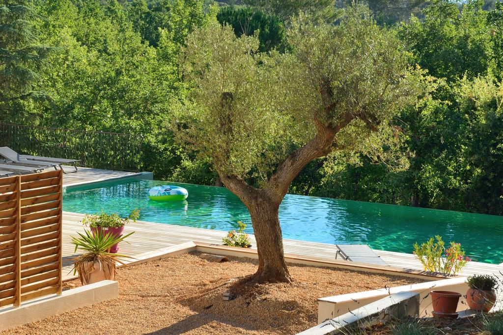 Sous Les Oliviers - Piscine Chauffee - Studios De Standing Tout-Equipes Saint-Maximin-la-Sainte-Baume 외부 사진