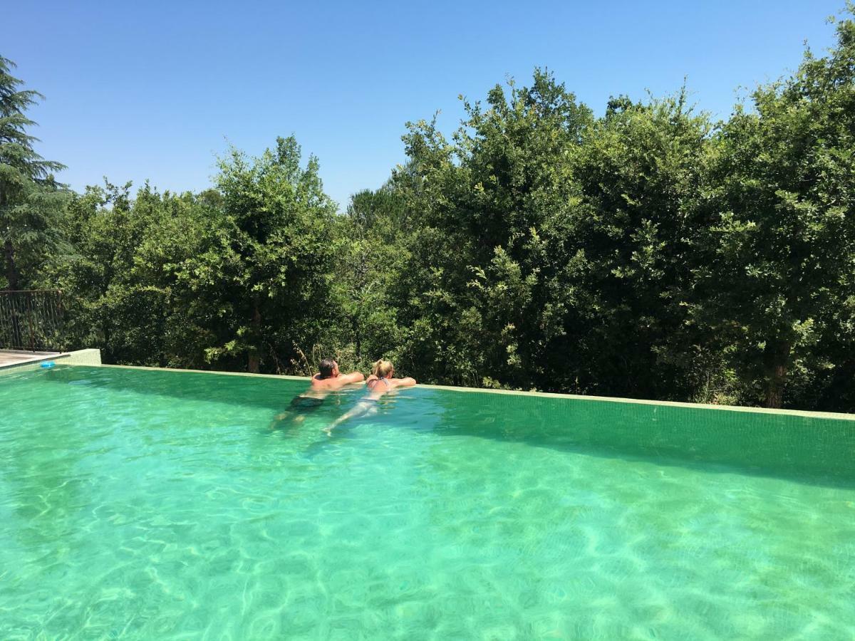 Sous Les Oliviers - Piscine Chauffee - Studios De Standing Tout-Equipes Saint-Maximin-la-Sainte-Baume 외부 사진